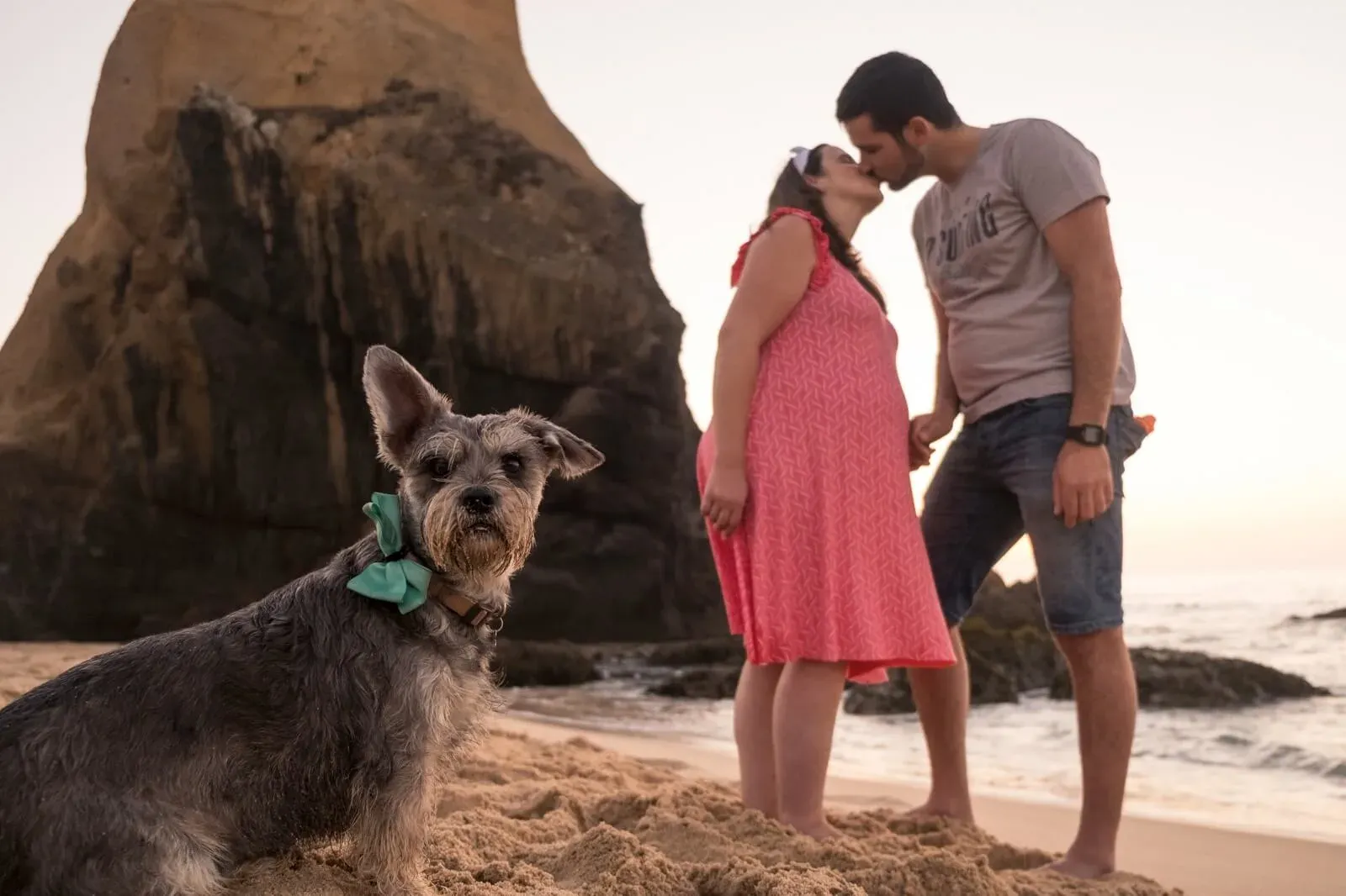 Casal a beijar-se na praia, com o cão à frente
