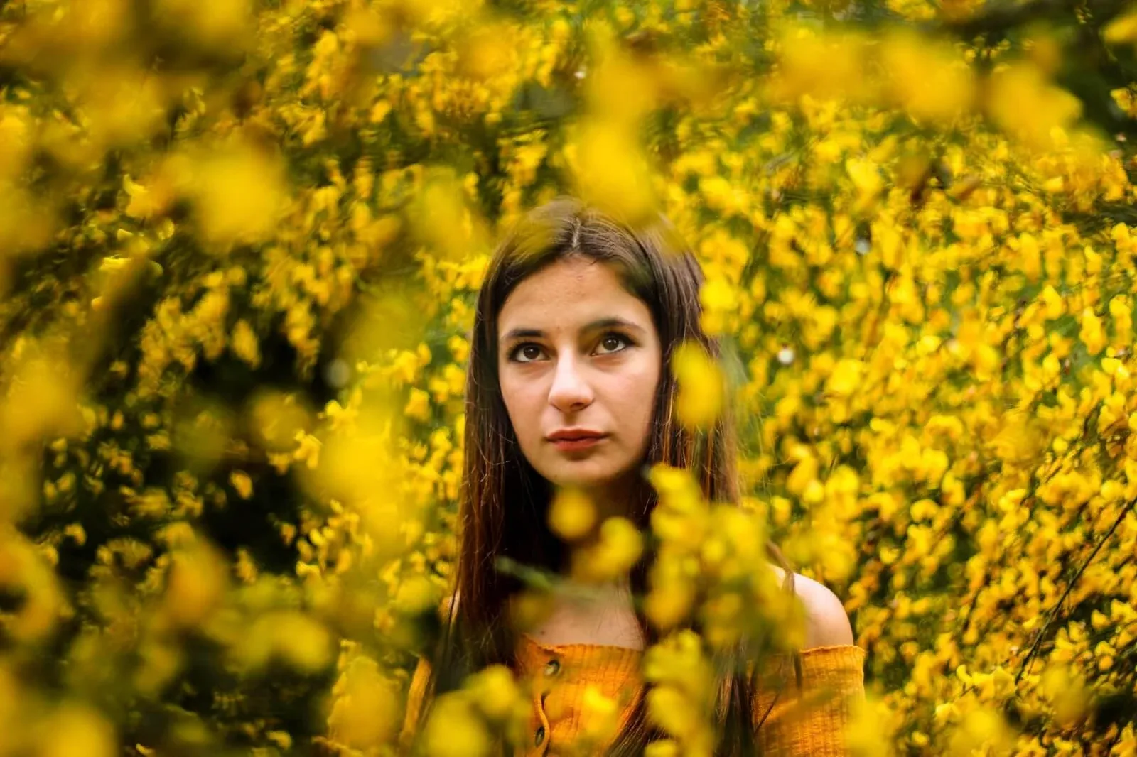 Retrato de uma mulher entre flores amarelas